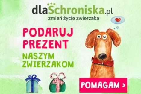 prezenty dla psa