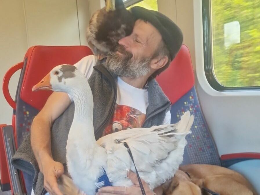 Zdjęcie podróżującego z mężczyzną, kaczką, gęsią i psem